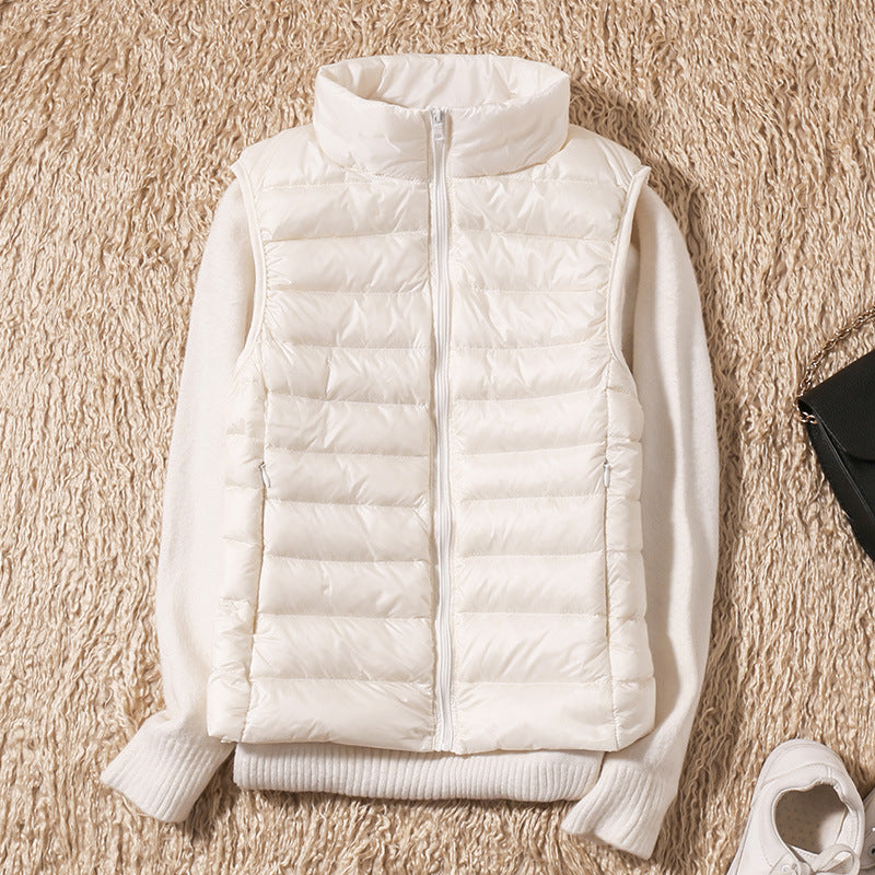 https://cdn.shopify.com/s/files/1/0823/9864/2401/files/22340355040_2082064335_1800x1800_4123b432-26bc-4c1f-a045-a15c851018e0.jpg?v=1776267540