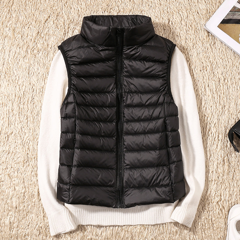 https://cdn.shopify.com/s/files/1/0823/9864/2401/files/22512632036_2082064335_1800x1800_79a6f9c1-cec1-4ed1-81b5-b1a7e1120095.jpg?v=1776267540
