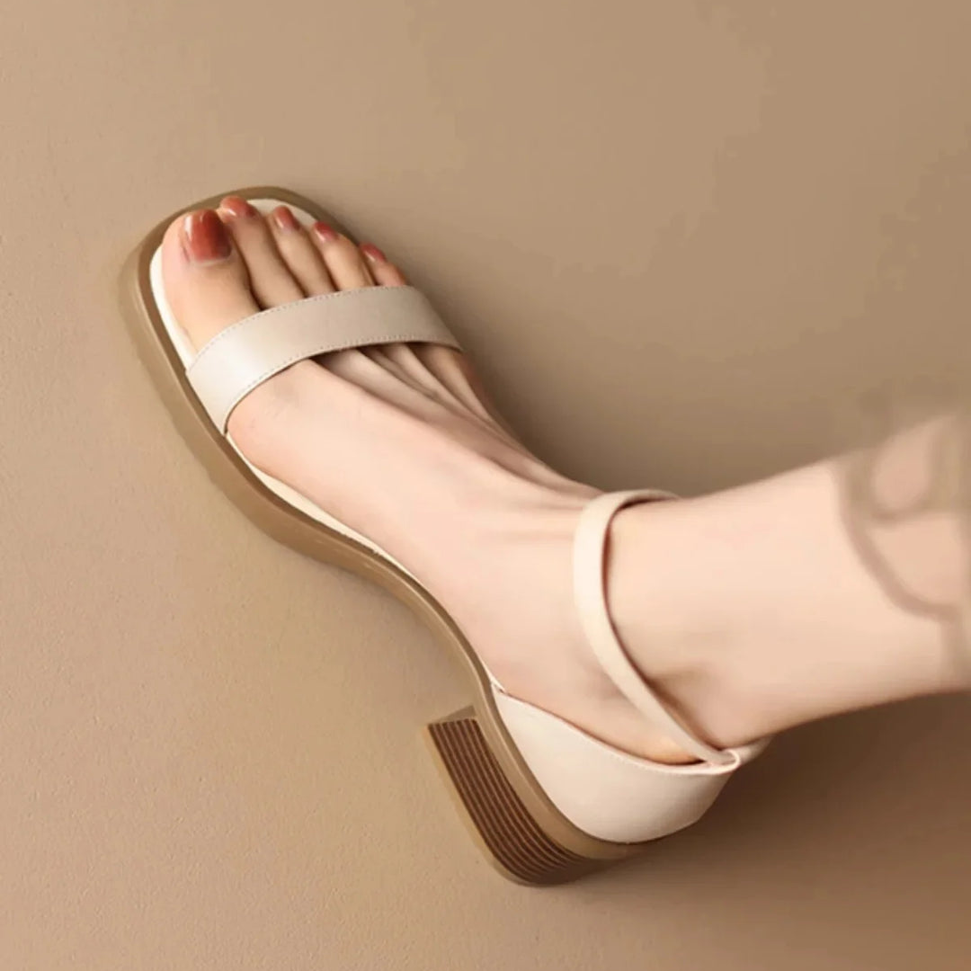 https://cdn.shopify.com/s/files/1/0823/9864/2401/files/Ontwerpzondertitel-2025-06-11T234211.165.png?v=1776266343