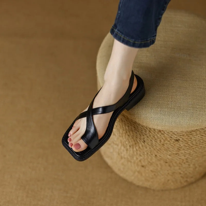 https://cdn.shopify.com/s/files/1/0823/9864/2401/files/S1187ece7cdd74c9a9a9a78a73e6186c6A.jpg?v=1776266548