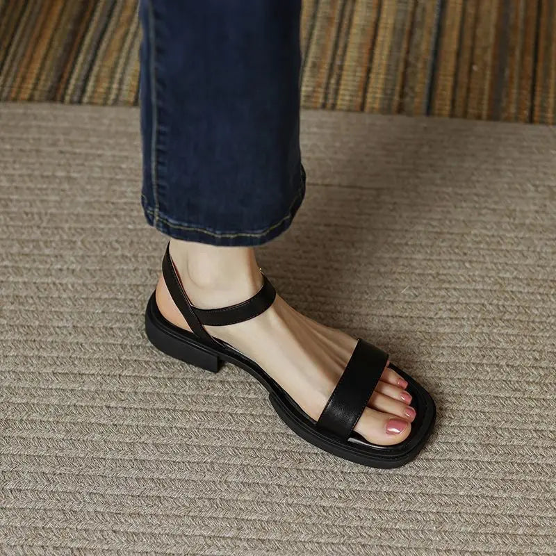 https://cdn.shopify.com/s/files/1/0823/9864/2401/files/S473f9721329c4468a7b0501ce2325282B.webp?v=1776266636
