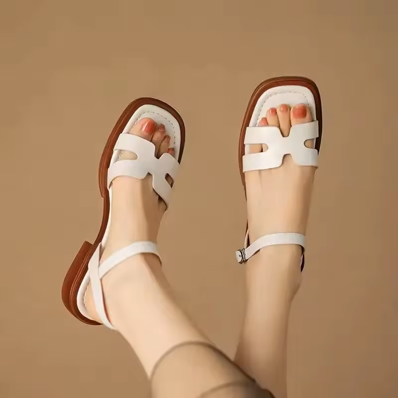 https://cdn.shopify.com/s/files/1/0823/9864/2401/files/S606431f50858441b911078cd056e21c7s_jpg_960x960q75_jpg_98bf99dc-3339-4376-af33-c196c96a0627.png?v=1776266402