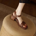 https://cdn.shopify.com/s/files/1/0823/9864/2401/files/S76e840f8b0d446ee9131e148563d871eJ.webp?v=1776266343