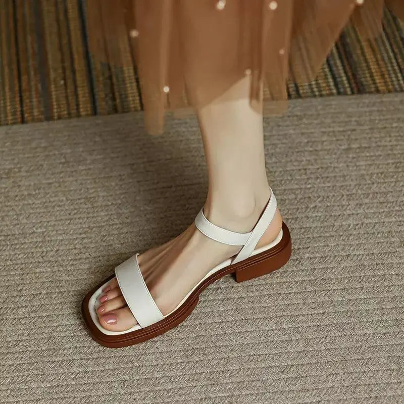 https://cdn.shopify.com/s/files/1/0823/9864/2401/files/S863ceb627d7d43dd9134a166f61cda3ce.webp?v=1776266635